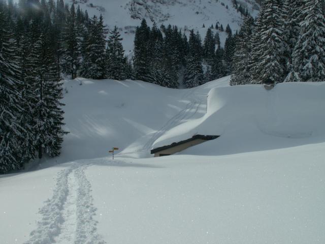 Chalthüttli 1370 m.ü.M.