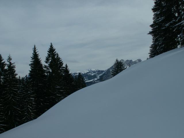 zuhinterst sieht man den Säntis