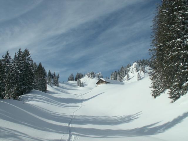 Oberst Nüen 1537 m.ü.M.