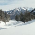 Blick von Mättli 1625 m.ü.M. Richtung Oberst Nüen