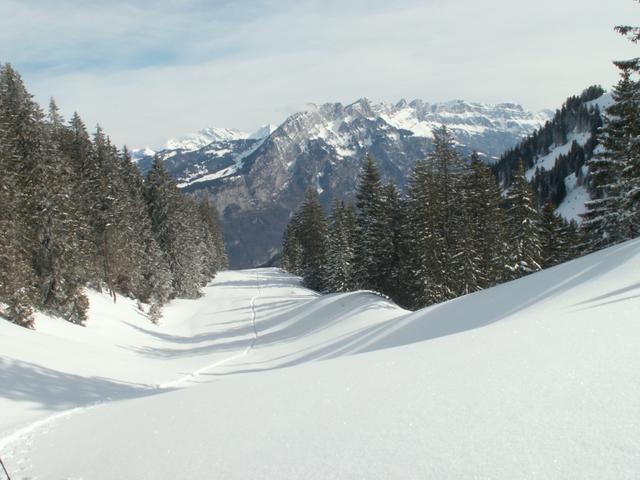 Blick von Mättli 1625 m.ü.M. Richtung Oberst Nüen