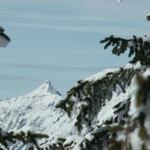 Blick von Mättli 1625 m.ü.M. Richtung Zindlenspitz