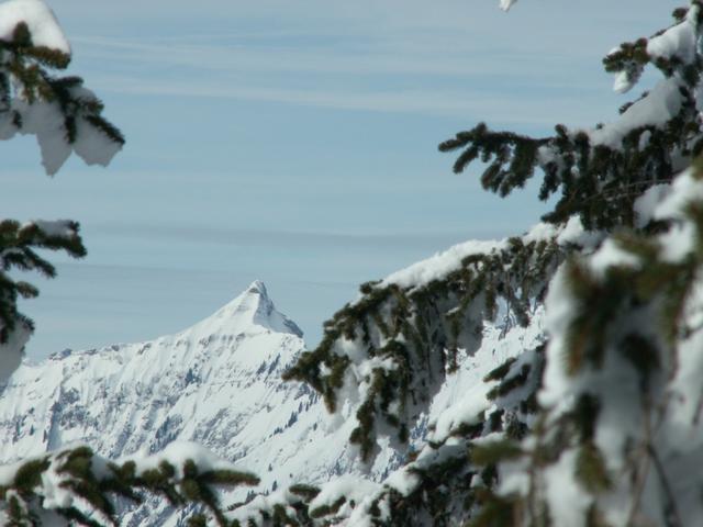 Blick von Mättli 1625 m.ü.M. Richtung Zindlenspitz