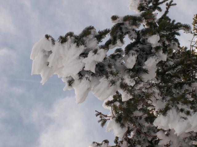 gut sichtbar, von wo der Wind weht