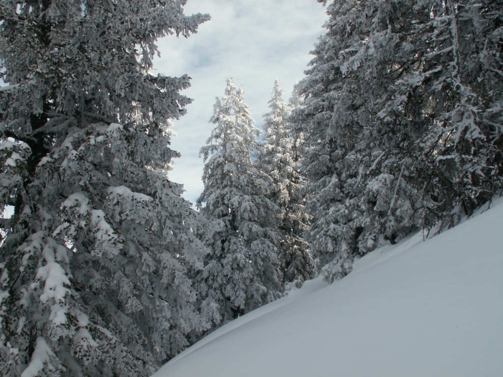 hier oben ist noch tiefster Winter