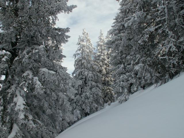 hier oben ist noch tiefster Winter