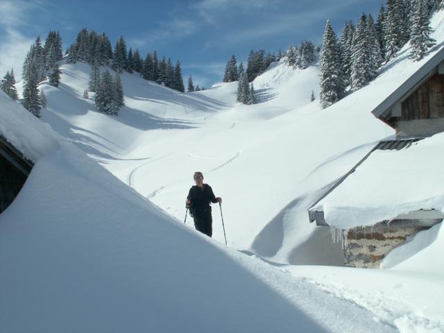 Mäusi bei Oberst Nüen