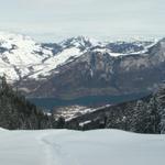 Blick runter zum Walensee