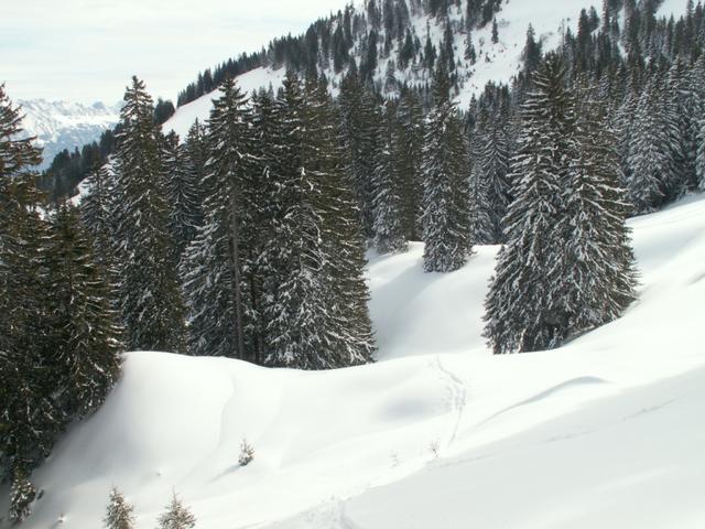 Schneeschulaufen in perfektion