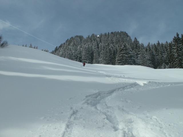 schöner Hang zum runterlaufen