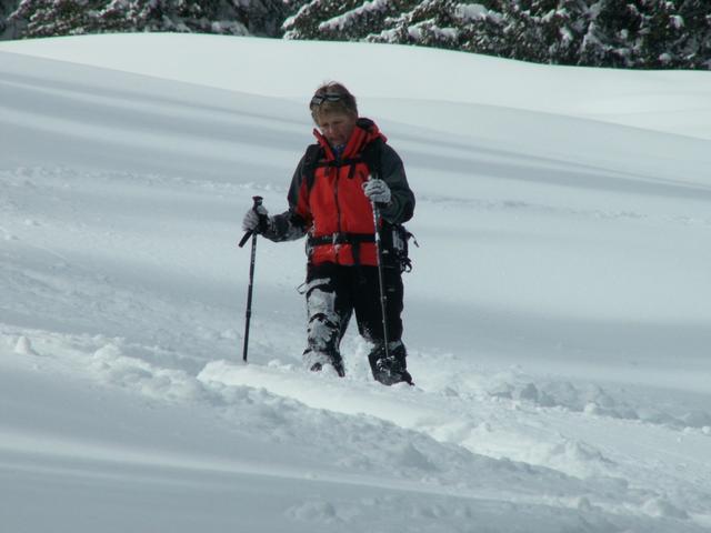 Mäusi ist im Tiefschnee gefallen