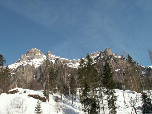 Blick bei Fruttli 1203 m.ü.M. zum Forstberg und Druesberg