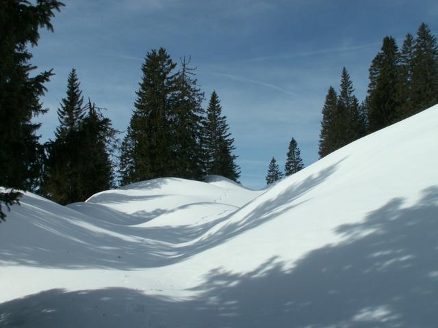 unsere Spuren im Stöckwald