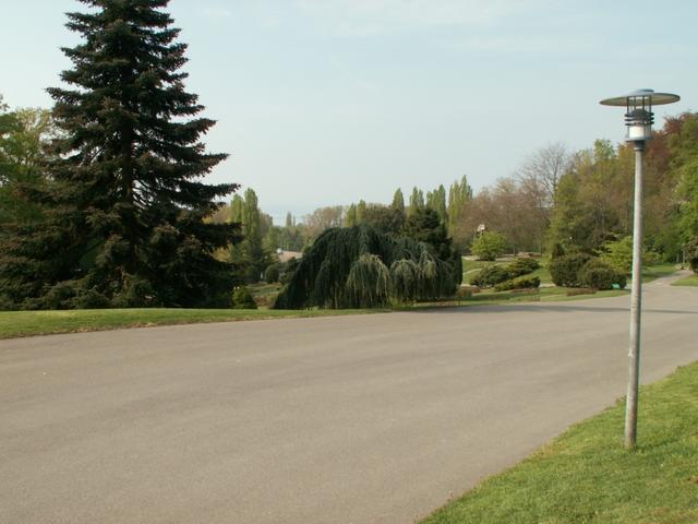 ein schöner Park mit vielen Rosen