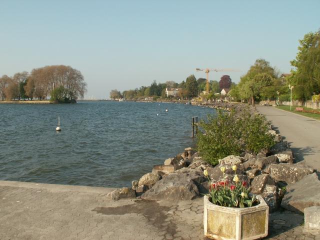 Seepromenade von Rolle