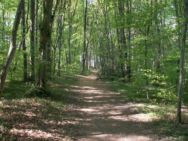 der Weg ist das Ziel