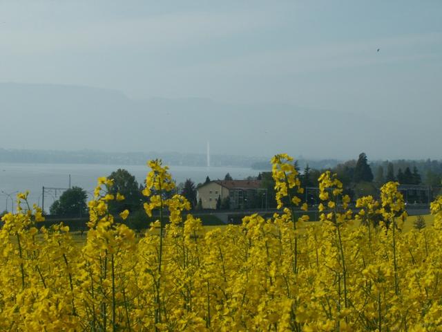 erster Blick Richtung Genf und den Jet d'eau