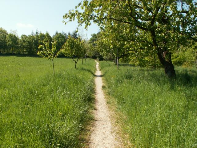 der Weg ist das Ziel