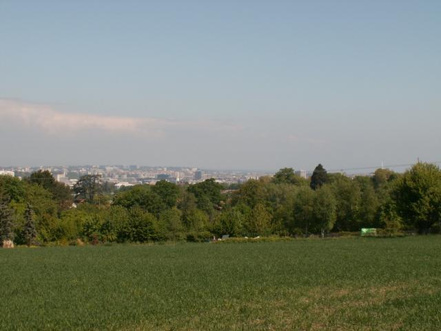 Blick zurück nach Genève