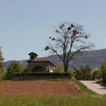 Kapelle bei Verrières