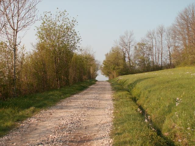 der Weg ist das Ziel