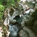 kleiner Wasserfall Cascade de Barbannaz