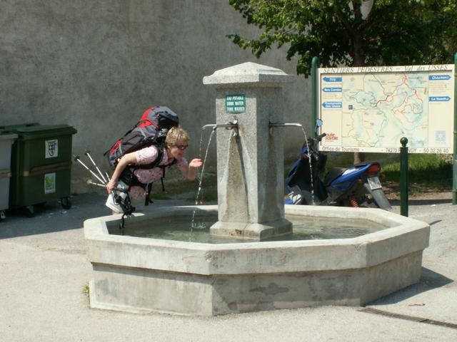 Mäusi kühlt sich beim Dorfbrunnen von Frangy ab