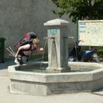 Mäusi kühlt sich beim Dorfbrunnen von Frangy ab