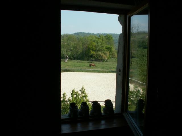 Blick vom Schlafzimmer aus