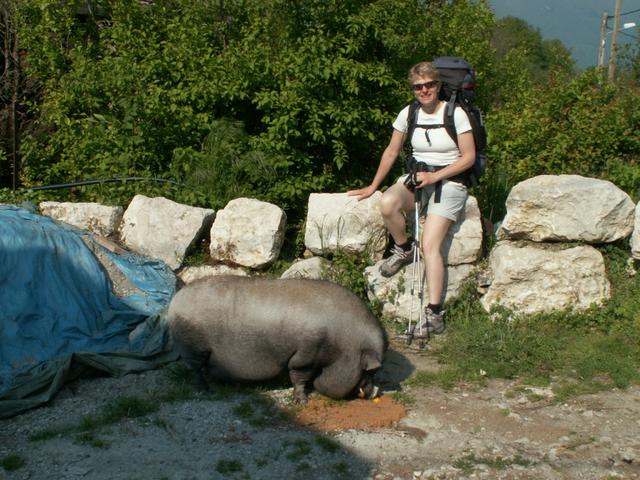 Mäusi mit Hängebauchschwein