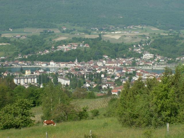 Blick auf Seyssel