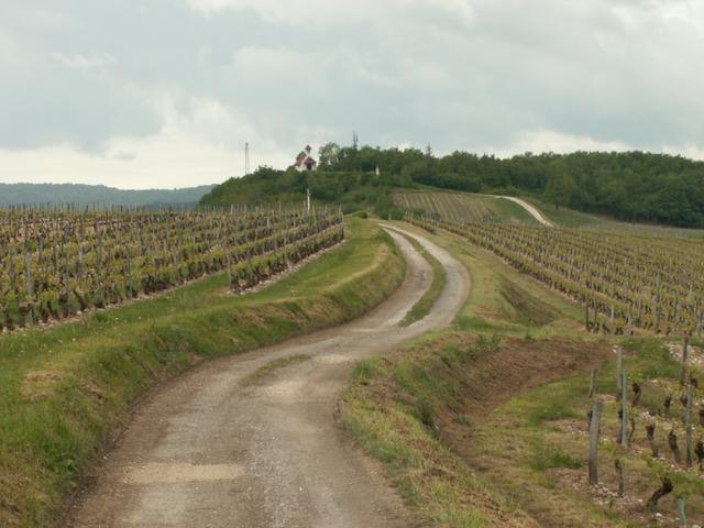 weiter Richtung Chapelle Saint Romain