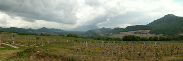 Breitbildfoto Rebberge Jongieux