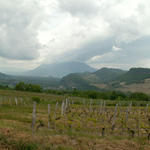 Breitbildfoto Rebberge Jongieux