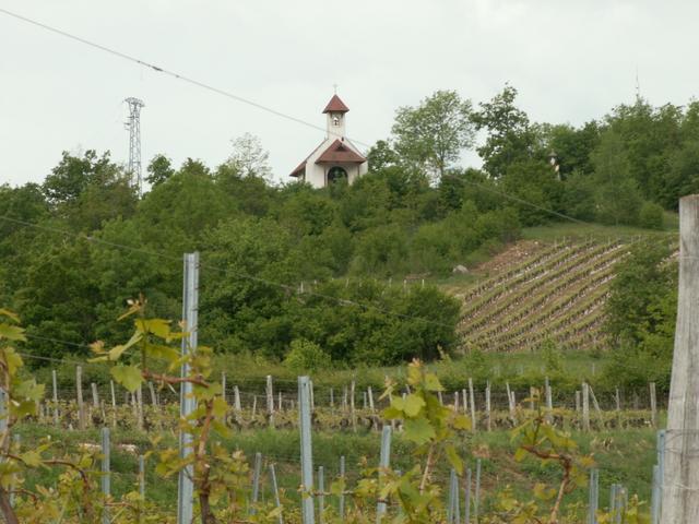 bald haben wir die Chapelle Saint Romain erreicht