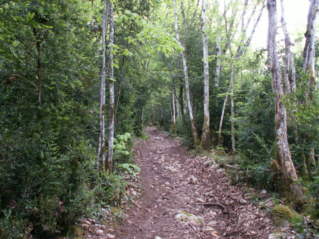 Pfad auf dem Höhenweg