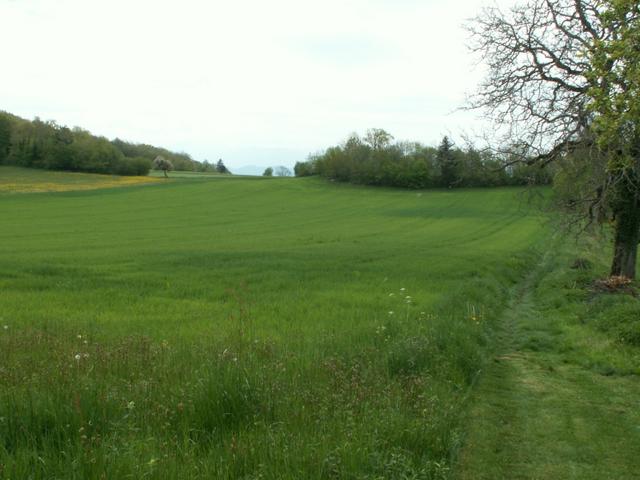 kurz nach St. Maurice de Rotherens