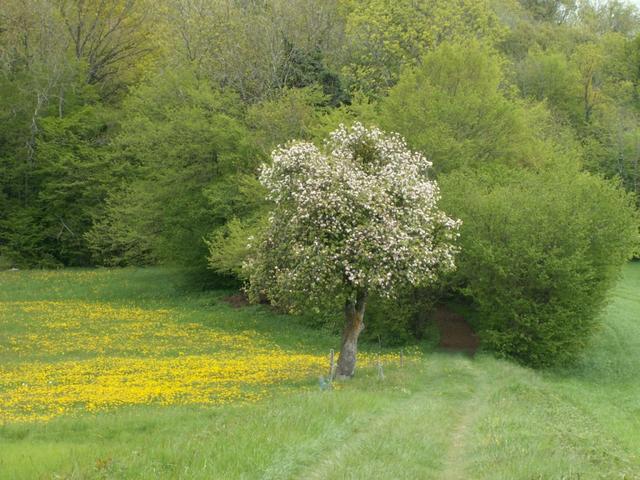 wir geniessen ein sehr schöner Frühling