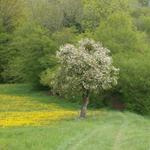 wir geniessen ein sehr schöner Frühling