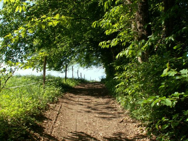 schöner Weg bei La Bruyère