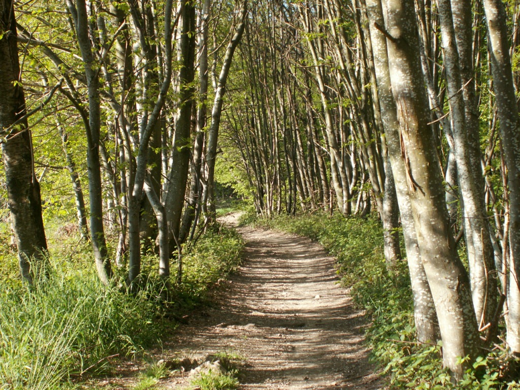 der Weg ist das Ziel