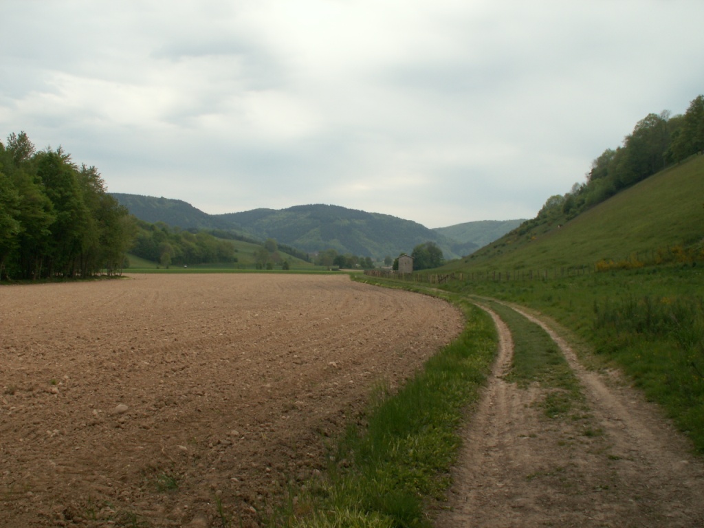 auf dem Weg Richtung Blaune