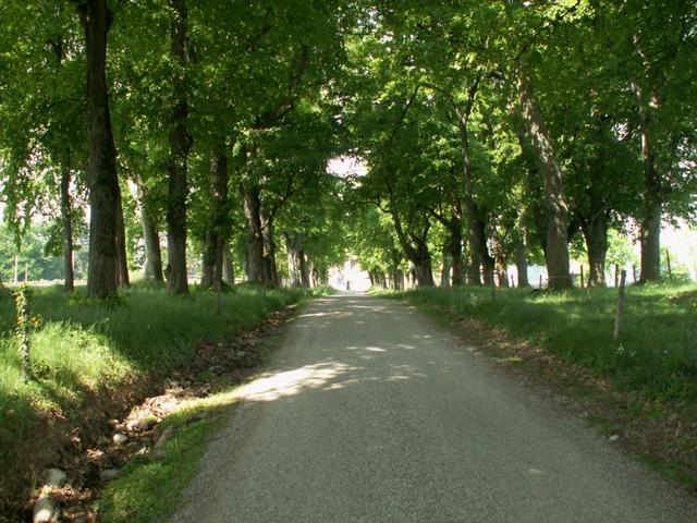 Allee beim Château de la Villardière