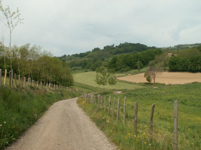 auf dem Weg kurz vor Gillonnay