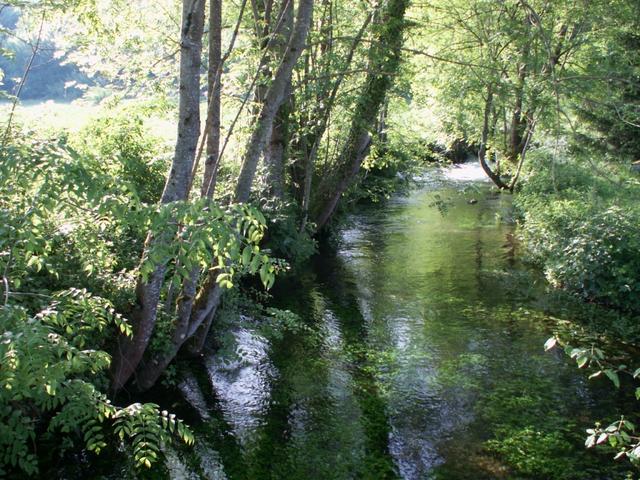 ein schöner Bach wird überquert