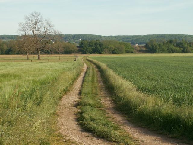 der Weg ist das Ziel