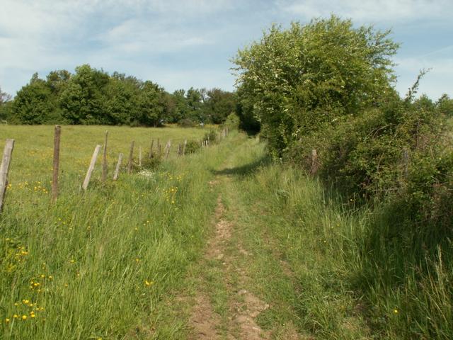 es geht aufwärts nach Pommier de Beaurepaire