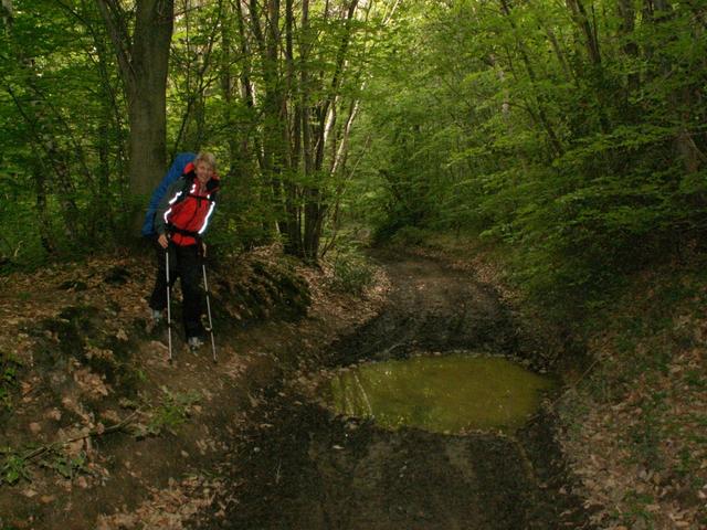 alles durch morastige Waldwege