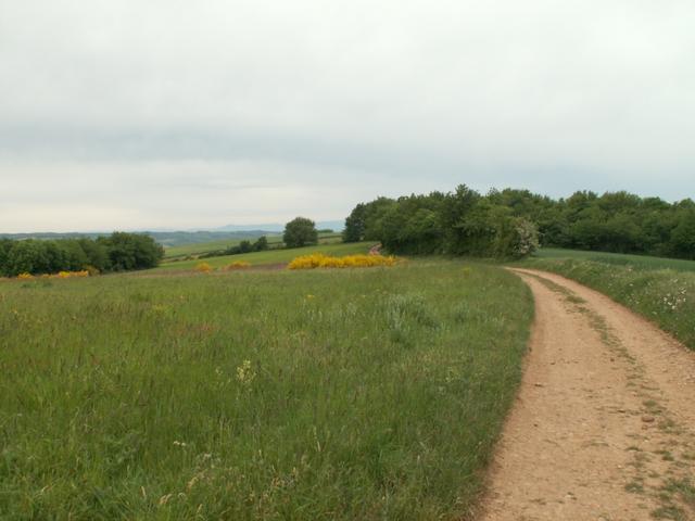 auf dem Weg Richtung Assieu