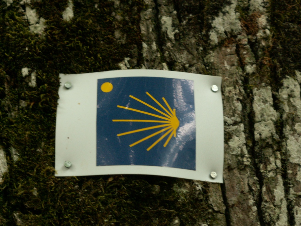 im Wald bei Le Gran Chêne treffen wir wieder auf dem Hauptweg